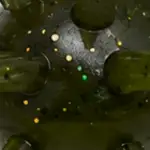 Green Pumpkin